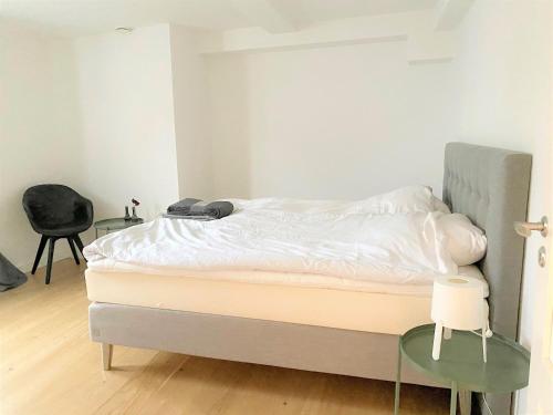 Sanders Leaves - Precious Two-Bedroom Penthouse In Downtown Copenhagen - image 6
