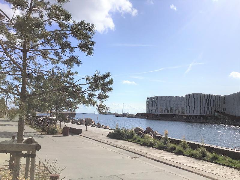 Trendy 1-bedroom Apartment in Copenhagen Nordhavn close to the harbor - image 2