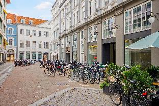 Spacious bright apartment with a balcony in the center of Copenhagen - image 3