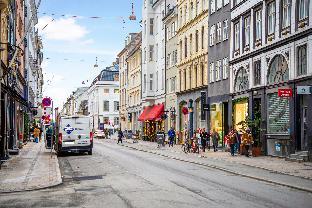 Fantastic duplex apartment in the neighborhood of Nyhavn - image 4