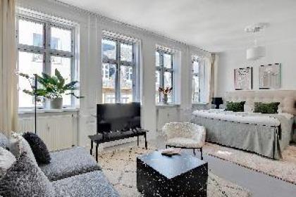 Bright and Spacious Apartment in the center of Copenhagen - image 16