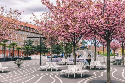 Central Apartment in Copenhagen with Free Parking - image 20